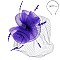 Large Classy MESH VEIL FASCINATOR