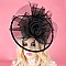 STYLISH Large FASCINATOR WITH DUAL CLIP AND HEADBAND