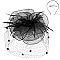 Large Classy MESH VEIL FASCINATOR