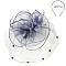 Large Classy MESH VEIL FASCINATOR