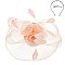 DERBY TILT MESH FLOWER FEATHERS FASCINATOR