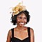 FASHIONABLE DERBY High FLOWER FEATHERS FASCINATOR WITH MESH