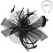 Classy Fascinator with Mesh Netting and Feathers