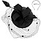 Classy MESH Ribbon and FEATHER Accented CAP Fascinator