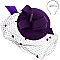 Classy MESH Ribbon and FEATHER Accented CAP Fascinator