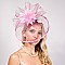 Large Floral Mesh Fascinator with Satin Trimmed Net