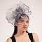 Classy FASCINATOR with Feathers and Pearls Center