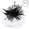 CLASSY VEILED MESH FASCINATOR WITH FEATHERS