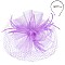 CLASSY VEILED MESH FASCINATOR WITH FEATHERS