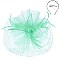 CLASSY VEILED MESH FASCINATOR WITH FEATHERS