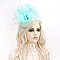 CLASSY VEILED MESH FASCINATOR WITH FEATHERS