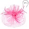 CLASSY VEILED MESH FASCINATOR WITH FEATHERS