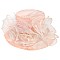 Elegant MEDIUM BRIM ORGANZA HAT WITH ROSE CLUSTER