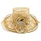 Elegant LARGE BRIM FLORAL LACE ORANZA HAT W ROSE ACCENT