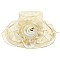 Elegant LARGE BRIM FLORAL LACE ORANZA HAT W ROSE ACCENT