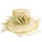 LARGE BRIM KENTUCKY DERBY ORGANZA FLAT TOP HAT