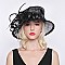 SINAMAY HAT SMALL BRIM FEATHER LOOP  SLHTS2181