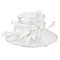 SINAMAY BRIM LOOP FEATHER HAT SLHTS2182