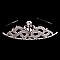 CHIC RHINESTONE TIARA