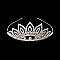 Elegant Medium Rhinestone Tiara SLHTY4882