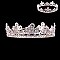 GRAND LINED FLOWER RHINESTONE CROWN SLHTY8024