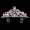 SPLENDID RICH LOOPS RHINESTONE TIARA SLHTY8745