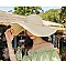 Women's Floppy Wide Brim Sun Protection Straw Hat