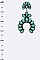 Large Squash Blossom Earrings