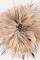 Metallic Coated Beanie With Raccoon Fur Pompom LA-EXP1008