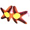 Pack of 12 Starfish Novelty Sunglasses