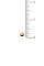 CURVED BAR CIRCLE LINK PENDANT NECKLACE SET