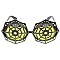 Pack of 12 Spider Web Novelty Sunglasses