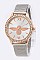 Chic Bee Dial 2 Tone Mesh Band Fashion Watch LA 04-FG5350B