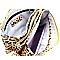 3-Compartment Leopard Print Push-Lock Cross Body