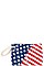 AMERICAN FLAG PRINT ECCO CLUTCH BAG