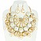 CHARMING CHUNKY AGATE STONE PEARL BIB STATEMENT NECKLACE AND EARRINGS SET
