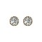Fashionable Gold/white Rnd Stud Earring With Stone Center SLNE0086