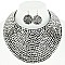 LARGE RHINESTONE BIB CHOKER STATEMENT NECKLACE SET