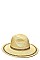 TRENDY PANAMA FEDORA HAT