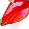 Watermelon Theme Clear Novelty Fanny Pack