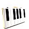 PPC5388-LP Piano Keyboard 3D Print Hard Frame Clutch