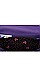 NICOLE LEE LONG EXCLUSIVE PRINT WALLET CLUTCH