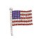 Wave American Flag Pin