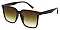 Pack of 12 CLASSIC TINT SQUARE SUNGLASSES SET
