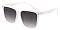 Pack of 12 CLASSIC TINT SQUARE SUNGLASSES SET
