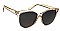 PACK OF 12 POLY CARBONATE LARGE CLASSIC FRAME SUNGLASSES