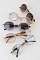 Pack of 12 Vintage Crystal Lined Oval Sunglasses