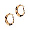 Celluloid Leopard Print Hoop Round Earring MH-ZE2086