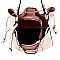 Boutique 3 in 1 Drawstring Bucket Satchel Value SET