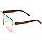 Pack of 12  Lined Tinted Fashion Sunglasses